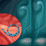 СТЕНТ МОЧЕТОЧНИКОВЫЙ УНИВЕРСАЛЬНОЙ ДЛИНЫ CONTOUR VL image