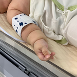 ИНКУБАТОР ДЛЯ НОВОРОЖДЕННЫХ COMEN B5/B3 image