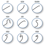 КАТЕТЕР ДИАГНОСТИЧЕСКИЙ ЦЕРЕБРАЛЬНЫЙ СЕЛЕКТИВНЫЙ IMAGER II image