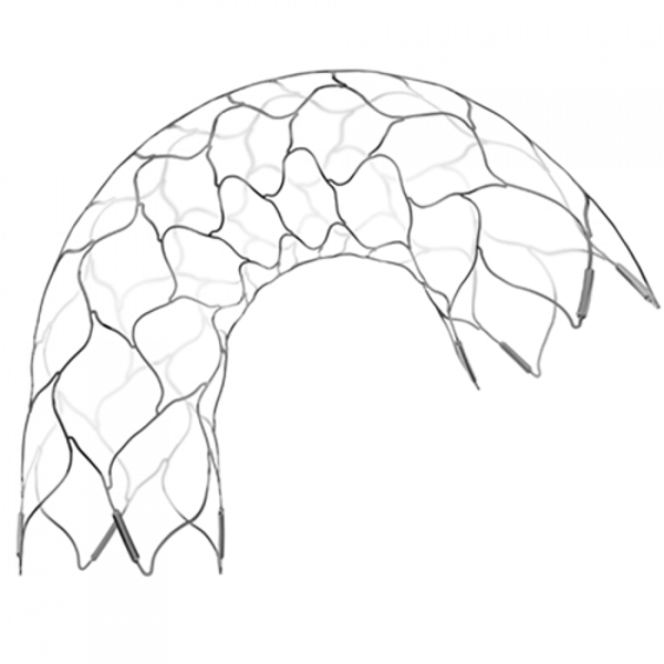 СТЕНТ ИНТРАКРАНИАЛЬНЫЙ ENTERPRISE 2 image