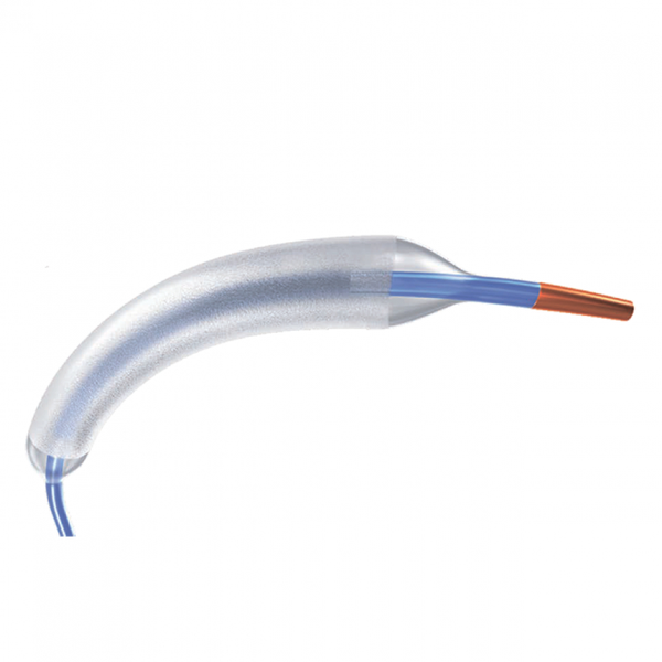 БАЛЛОННЫЙ КАТЕТЕР AGENT С ЛЕКАРСТВЕННЫМ ПОКРЫТИЕМ image