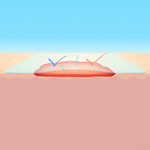 СУПРАСОРБ F (SUPRASORB F) ПЛЕНКА ЗАЩИТНАЯ image